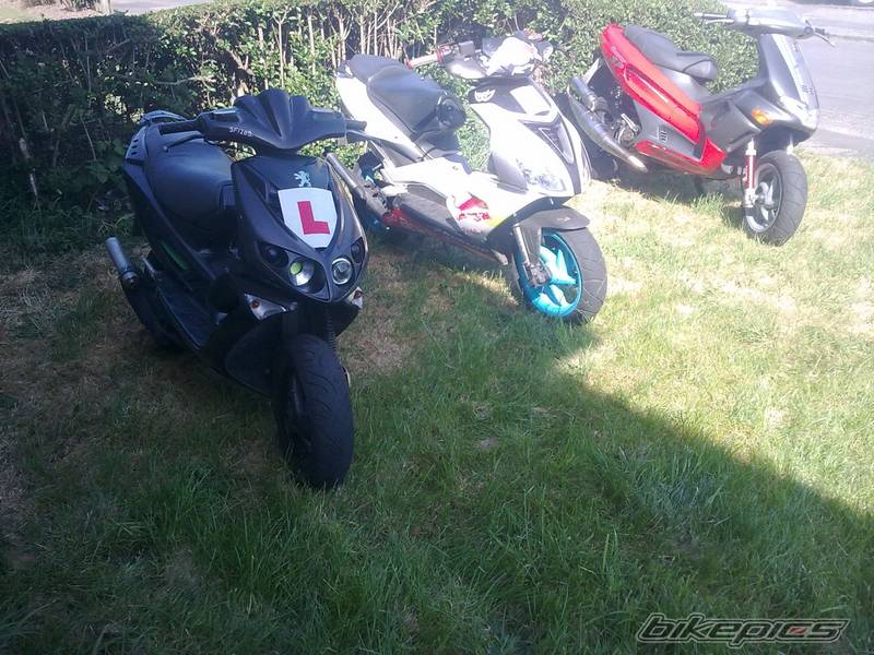 3 scoots.jpg