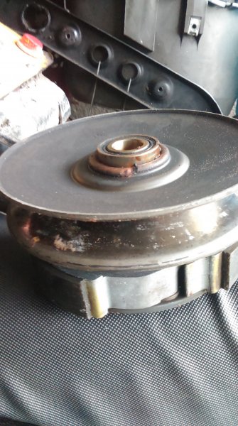 IMAG0282.jpg