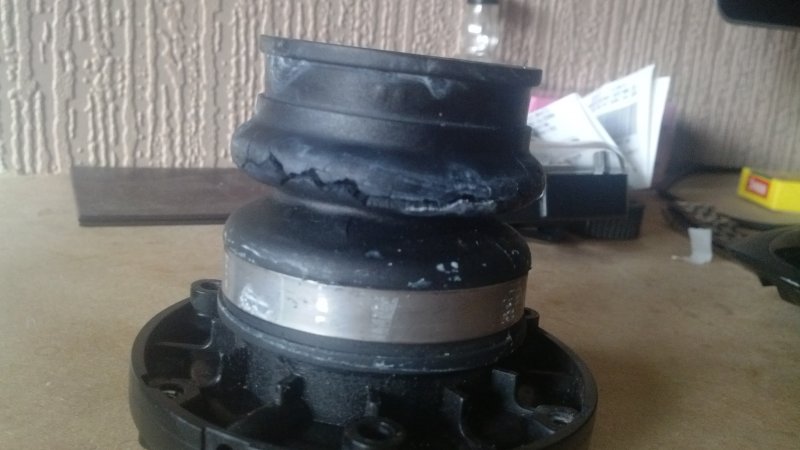 IMG_20130414_182525.jpg