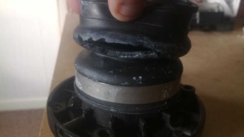 IMG_20130414_182542.jpg