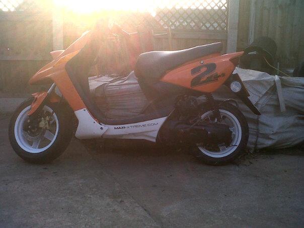 ped6.jpg