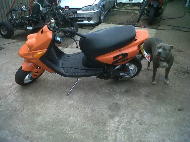 ped7.jpg