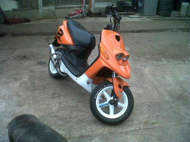 ped9.jpg