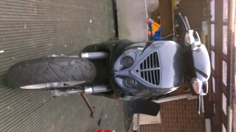 WP_20171103_002.jpg