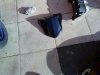DSC00049.JPG