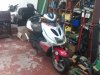 1296341093-picsay.jpg