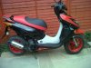 ped 1.jpg