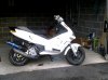 scoot 2 .jpg