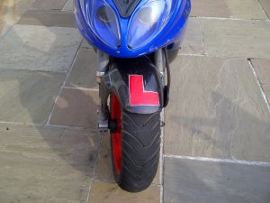 IMG-20120322-00202.jpg