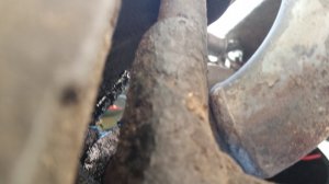 20150810_181944.jpg