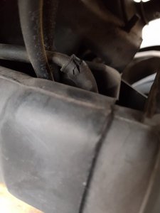 20170528_194905.jpg