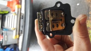 20170605_103913.jpg