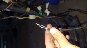 20170607_132754.jpg