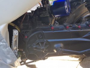 20170611_170529.jpg