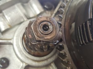 20170818_154117.jpg