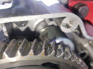 20170818_154142.jpg