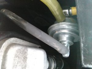 IMG_20180225_084520.jpg