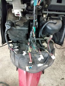 sachs front.jpg