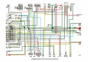 Wiring Digram for Dellorto CDI.jpg