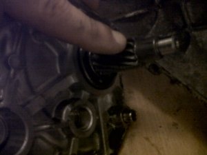 IMG00347-20120418-0247.jpg