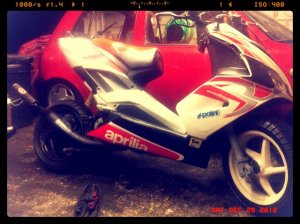 Fresh bike 1.jpg