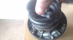 IMG_20130414_182553.jpg