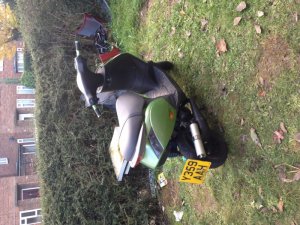 IMG_0027[1].JPG