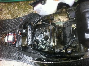 IMG_0212 (Medium).jpg