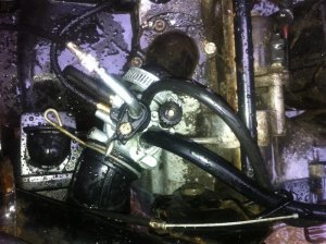 IMG_0209 (Medium).jpg