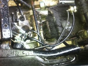 IMG_0210 (Medium).jpg