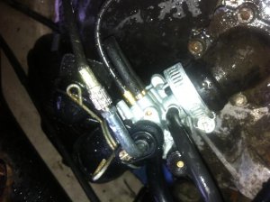 IMG_0211 (Medium).jpg