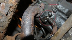 P1060019 highlit.jpg