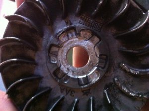 IMG_0222 (Medium).jpg