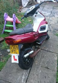 Noddy
