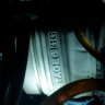 N74S