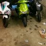 zish97