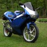 Rapidpeds